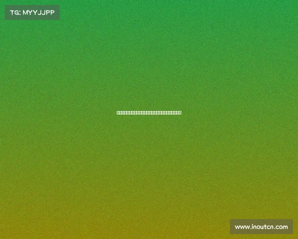 美因茨足球俱乐部崛起之路：德甲竞争中的黑马与未来展望