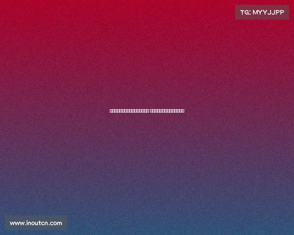 若昂马里奥：加盟尤文让我无比自豪 洛卡特利视野出色令人印象深刻